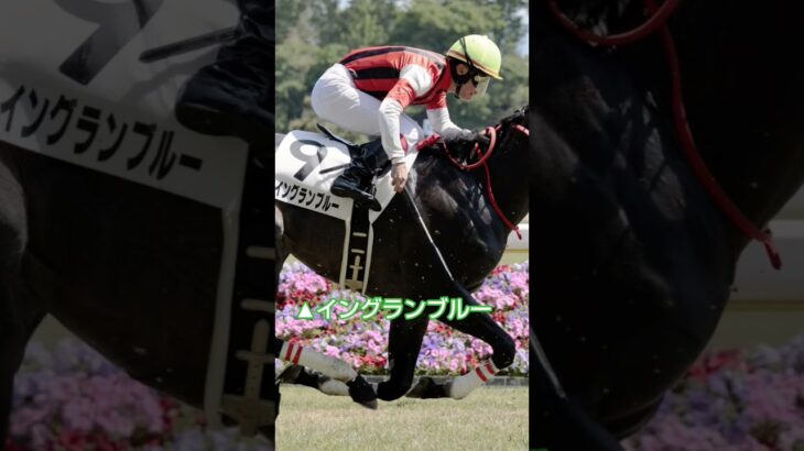 宣伝部員の京都HJ予想#競馬#予想#京都HJ#horse