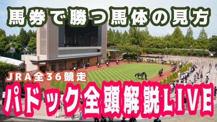【JRAライブ】競馬記者が全レースのパドックを解説【オークス】