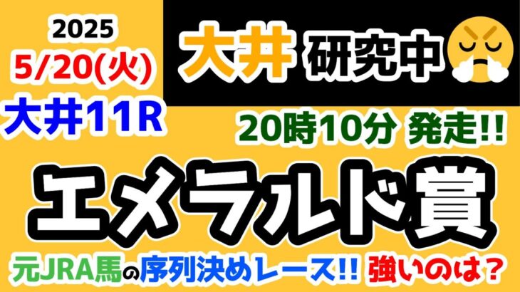 【大井競馬研究中😏】元JRA馬の序列決めレース!! 今回有力なのは🤔【2025.5.20 大井11R エメラルド賞】