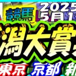 【競馬 JRA全レース予想ライブ】新潟大賞典。東京、京都、新潟