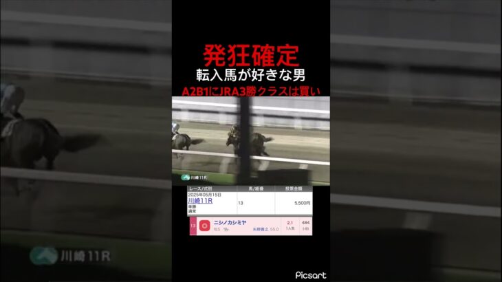 【発狂確定】JRAでOP入りしてる馬が転入していたので単勝買ってみた結果… #競馬 #競馬予想 #地方競馬 #jra #ギャンブル #ウマ娘 #ウマ娘プリティーダービー #川崎競馬 #単勝
