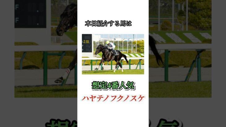 #競馬#競馬予想#天皇賞春#天皇賞春予想#天皇賞春本命馬#天皇賞春本命予想#天皇賞春調教診断#JRA#競馬YouTube#おとすべ#男の全て#競馬予想ch#ハヤテノフクノスケ#全頭診断