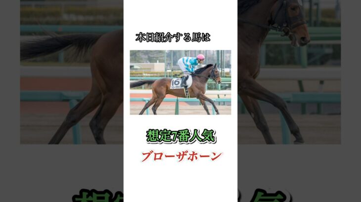 #競馬#競馬予想#天皇賞春#天皇賞春予想#天皇賞春本命馬#天皇賞春本命予想#天皇賞春調教診断#JRA#競馬YouTube#おとすべ#男の全て#競馬予想ch#ブローザホーン#全頭診断
