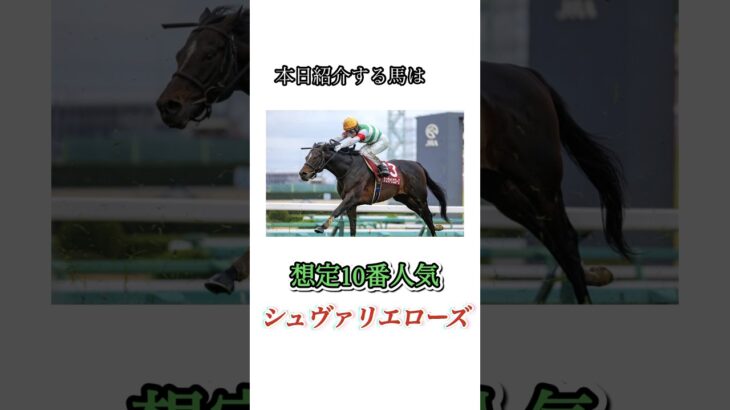 #競馬#競馬予想#天皇賞春#天皇賞春予想#天皇賞春本命馬#天皇賞春本命予想#天皇賞春調教診断#JRA#競馬YouTube#おとすべ#男の全て#競馬予想ch#シュヴァリエローズ#全頭診断