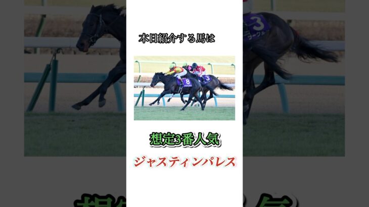 #競馬#競馬予想#天皇賞春#天皇賞春予想#天皇賞春本命馬#天皇賞春本命予想#天皇賞春調教診断#JRA#競馬YouTube#おとすべ#男の全て#競馬予想ch#ジャスティンパレス#全頭診断