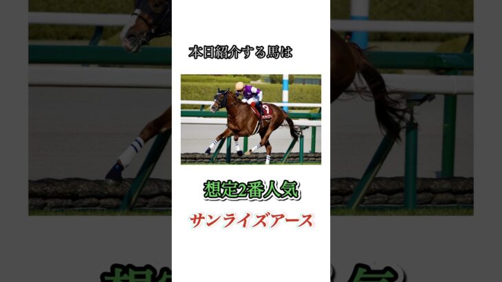 #競馬#競馬予想#天皇賞春#天皇賞春予想#天皇賞春本命馬#天皇賞春本命予想#天皇賞春調教診断#JRA#競馬YouTube#おとすべ#男の全て#競馬予想ch#サンライズアース#全頭診断