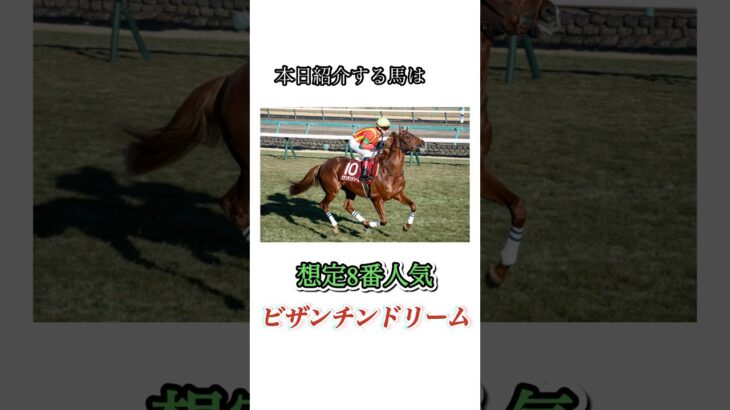 #競馬#競馬予想#天皇賞春#天皇賞春予想#天皇賞春本命馬#天皇賞春本命予想#天皇賞春調教診断#JRA#競馬YouTube#おとすべ#男の全て#競馬予想ch#ビザンチンドリーム#全頭診断