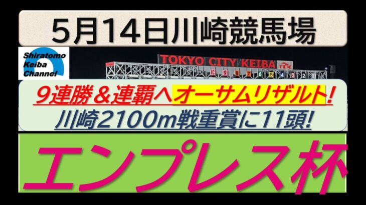 【競馬予想】JpnⅡエンプレス杯～２０２５年５月１４日川崎競馬場 ：５－４