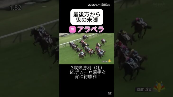 【競馬】最後方から末脚炸裂！！！アラベラとM.デムーロ騎手 #競馬 #京都競馬場 #horseracing #競馬予想 #末脚炸裂 #アラベラ #未勝利戦 #shorts
