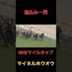 追込み一閃マイネルホウオウ【NHKマイルカップ】#競馬#予想#馬券