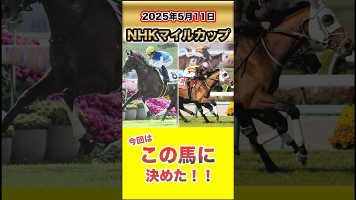 【競馬予想】NHKマイルカップ今回はこの馬に決めた！！#競馬 #競馬予想 #東京競馬場 #NHKマイルカップ #アドマイヤズーム #イミグラントソング #ギャンブル #スロット