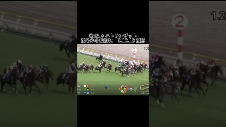 NHKマイルカップの直線でさあ後ろから一気一気！ #競馬 #競馬結果 #中央競馬 #中央競馬予想 #東京競馬 #東京競馬場 #東京競馬予想 #nhkマイルカップ