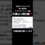 【NHKマイルカップ2025】今春G1 5戦3勝の男による有力馬診断‼️  イミグラントソング編 #競馬 #NHKマイルカップ #中央競馬予想 #有力馬診断 #全頭診断