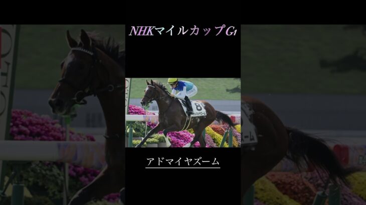NHKマイルカップG1予想       #競馬予想 #競馬 #nhkマイルカップ #undead