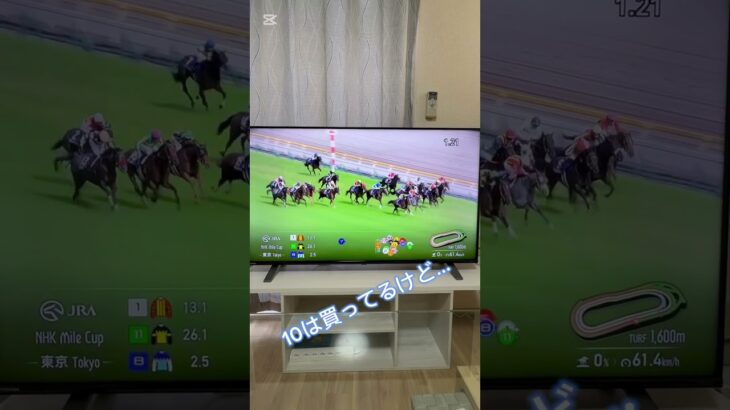#NHKマイルカップ　#競馬　#予想　#JRA  #G1