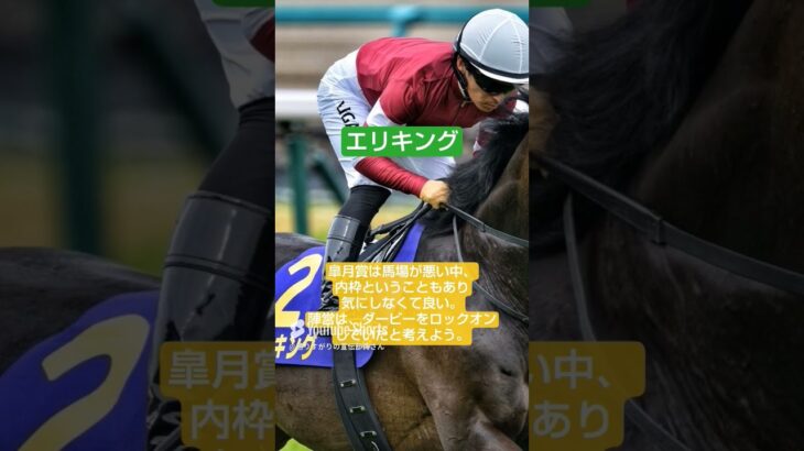 宣伝部員の日本ダービー注目馬Part2#競馬予想#競馬#日本ダービー#東京優駿#マスカレードボール