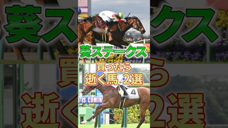 【葵S】やっぱ短距離戦は穴からっしょ！ #競馬 #競馬予想 #葵ステークス #shorts