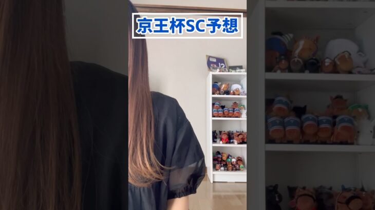 【京王杯SC予想】みなさんの本命も教えてください！！#競馬予想 #京王杯スプリングカップ