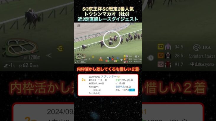 【トウシンマカオ】京王杯SC想定2番人気！近3走ダイジェスト  #競馬  #京王杯スプリングカップ  #トウシンマカオ  #shorts