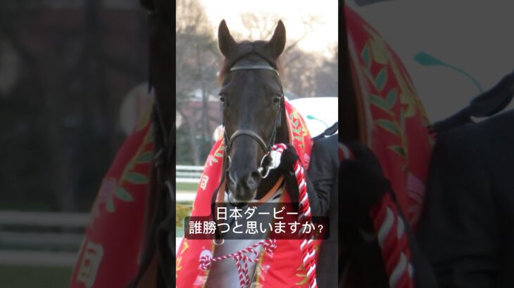 日本ダービージョバンニ推しあとはニシノエージェントが好き！#競馬予想 #日本ダービー #競馬好きな人と繋がりたい #競馬 #クロワデュノール #北村友一 #ジョバンニ #UMAJO #馬