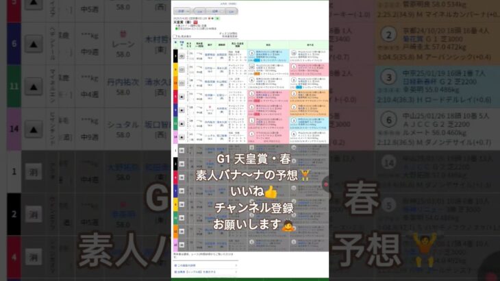 #edm #music #party #turnupthenight #競馬予想 #競馬 #京都競馬場 #素人#バナ〜ナ#G1#天皇賞
