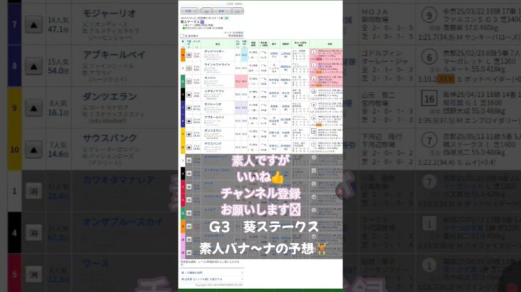 #edm #music #party  #競馬予想 #競馬 #turnupthenight #素人#素人予想#バナ〜ナ#京都競馬場 #G3#葵ステークス