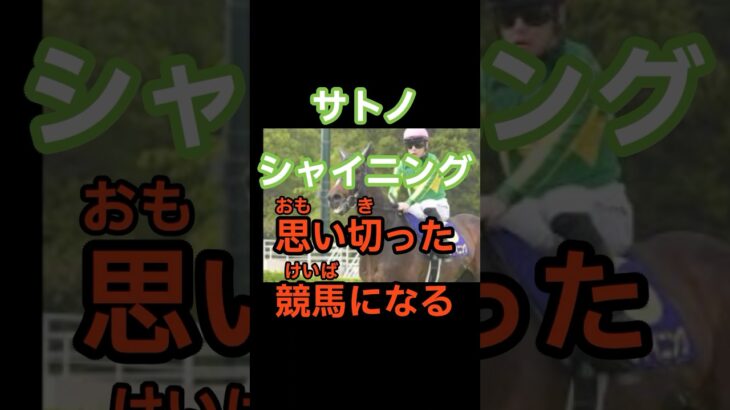 日本ダービー🏇サトノシャイニング大外枠から思い切った競馬示唆#競馬予想 #競馬 #競馬予想 #東京競馬予想 #競馬好きと繋がりたい #大予想 #g1 #日本ダービー