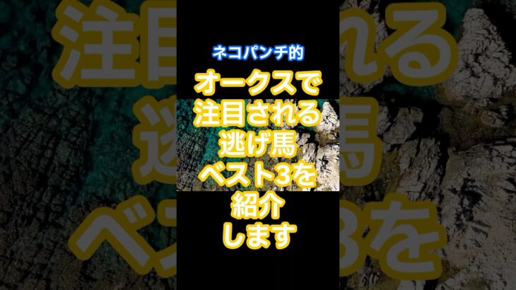 オークスで注目される逃げ馬🐴ベスト③ #競馬 #東京競馬予想 #凱旋門賞 #g1 #競馬予想 #中央競馬予想 #オークス2025