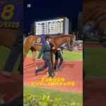 アンモシエラ エンプレス杯パドック　#アンモシエラ　#エンプレス杯　#地方競馬　#競馬　#競馬予想  #一口馬主　#広尾サラブレッド倶楽部　#horse  #ショート  #ショート動画