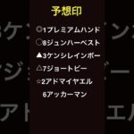 #競馬 #競馬予想 #horse #船橋競馬 #船橋競馬場 #船橋競馬予想 #地方競馬 #地方競馬予想 #地方重賞 #東京湾カップ　#展開予想 #船橋11R