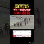 【発狂確定】大井競馬でデルマ軍団の単勝買ったみた結果… #競馬 #地方競馬 #jra #競馬予想 #ギャンブル依存症 #ギャンブル #ウマ娘 #ウマ娘プリティーダービー #武豊 #大井競馬