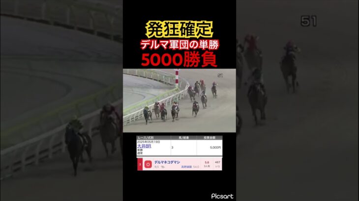 【発狂確定】大井競馬でデルマ軍団の単勝買ったみた結果… #競馬 #地方競馬 #jra #競馬予想 #ギャンブル依存症 #ギャンブル #ウマ娘 #ウマ娘プリティーダービー #武豊 #大井競馬