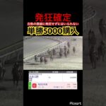 【発狂確定】単勝を賭けた馬レースで白熱の直線に発狂せざるを得ない成人男性 #競馬 #競馬予想 #jra #地方競馬 #ウマ娘プリティーダービー #ウマ娘 #ギャンブル #ギャンブル依存症 #大井競馬