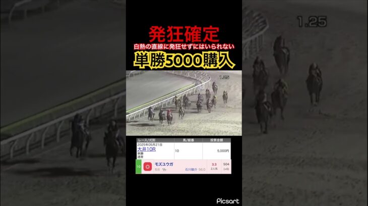 【発狂確定】単勝を賭けた馬レースで白熱の直線に発狂せざるを得ない成人男性 #競馬 #競馬予想 #jra #地方競馬 #ウマ娘プリティーダービー #ウマ娘 #ギャンブル #ギャンブル依存症 #大井競馬