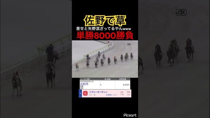 【限界】発狂しすぎてついには鞍上を言い間違えてしまうギャンブラー #競馬 #競馬予想 #jra #地方競馬 #ウマ娘プリティーダービー #ウマ娘 #ギャンブル #ギャンブル依存症 #大井競馬 #武豊
