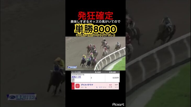 【発狂確定】みなさん見る目がないので美味しいオッズ変わりに頂いていきますね！　#競馬 #競馬予想 #jra #地方競馬 #ウマ娘 #ウマ娘プリティーダービー #ギャンブル依存症 #ギャンブル #武豊