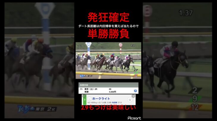 【発狂確定】ダート長距離はうちパクを買えば当たると聞いたので単勝勝負した結果… #競馬 #競馬予想　#ギャンブル #jra #地方競馬 #ウマ娘 #ウマ娘プリティーダービー #東京競馬場