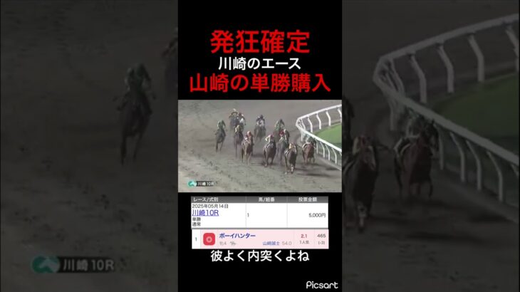 【発狂確定】川崎競馬は山崎買っておけば当たると思って単勝勝負した結果 #競馬 #競馬予想 #jra #地方競馬 #ウマ娘 #ウマ娘プリティーダービー #ギャンブル #単勝 #川崎競馬