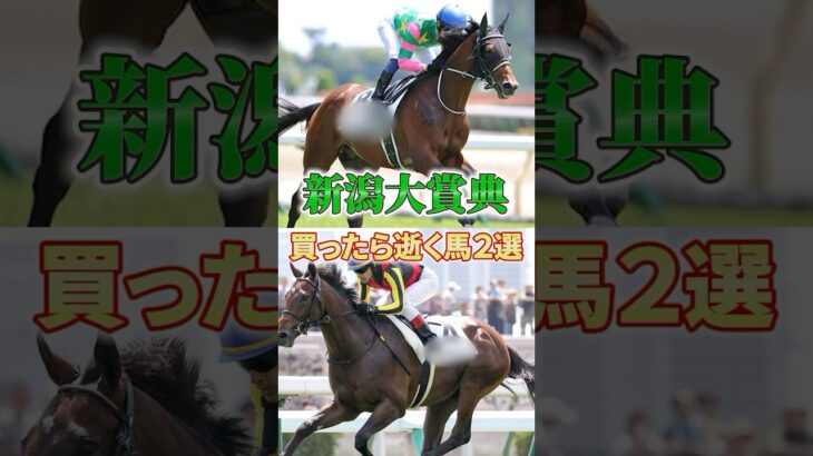 【新潟大賞典】このレースよく荒れるらしいけど、おれの肌荒れるから当たってくれ #競馬 #競馬予想 #shorts #新潟大賞典