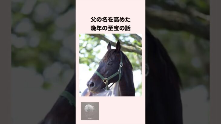 【 競馬 】ミホシンザンの雑学 【 競馬の雑学 】 #競馬 #雑学 #ミホシンザン #ウマ娘  #shorts