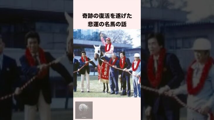 【 競馬 】サクラスターオーの雑学 【 競馬の雑学 】 #競馬 #雑学 #サクラスターオー #ウマ娘  #shorts