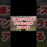 川崎エンプレス杯アンモシエラがアツすぎる#shorts #short #競馬 #予想