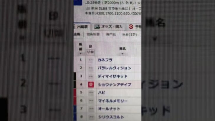 新潟大賞典 #プロセカ #プロジェクトセカイ #shortvideo #競馬 #うま娘 #競馬予想 #中央競馬予想 #vtuber #イーフト #東京競馬予想