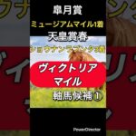 ヴィクトリアマイル軸馬候補①#ヴィクトリアマイル #馬 #競馬 #競馬予想