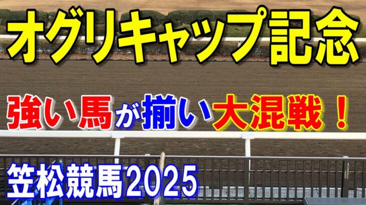 オグリキャップ記念２０２５【笠松競馬予想】全国各地から好メンバーが集結し混戦ムード！？