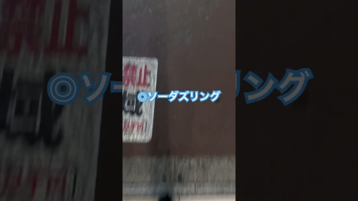 競馬予想