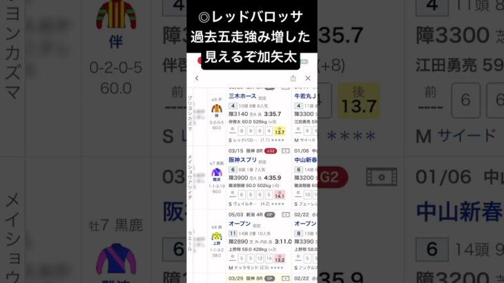 京都ハイジャンプの予想でいざ冬へとの #競馬 #競馬予想 #中央競馬 #中央競馬予想 #京都競馬 #京都競馬場 #京都競馬予想 #京都ハイジャンプ