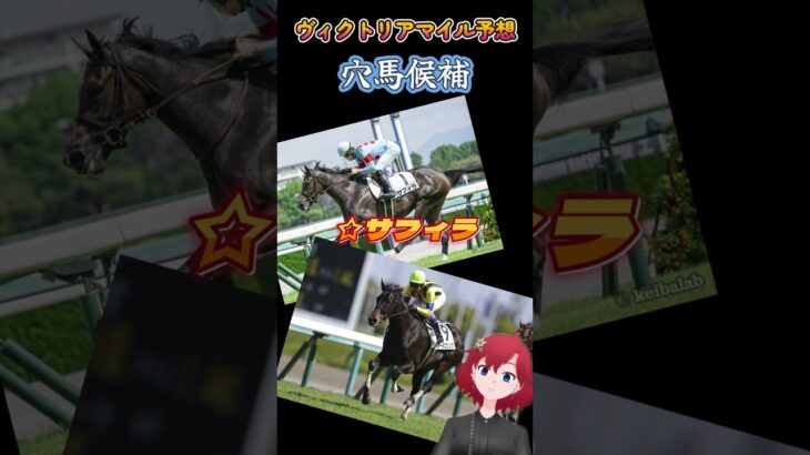 【 #ヴィクトリアマイル 】競馬エンジョイガチ勢の今週の競馬予想【 #しだ競馬 】