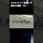 新潟大賞典　もちおの当たらない予想　#競馬 #競馬予想 #新潟大賞典