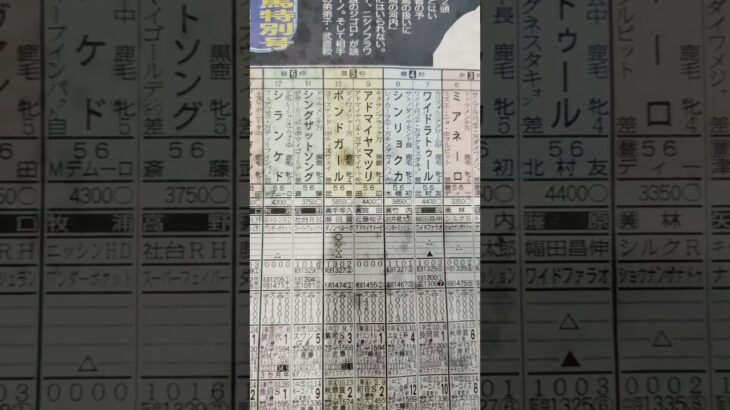 競馬予想（ヴィクトリアマイル）